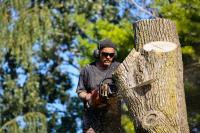 Lone Star Tree Services image 4